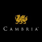 CambriaSurfaces-Logo